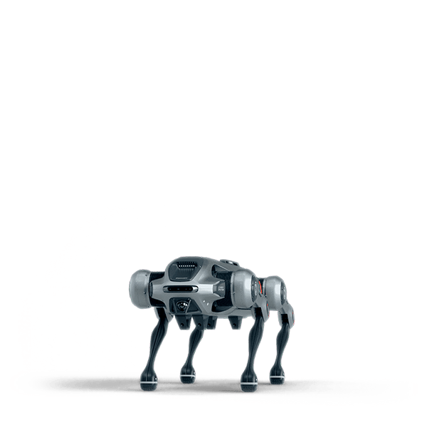 OX-Q1 quadruped robot